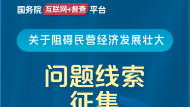 男插女小穴免费视频国务院“互联网+督查”平台公开征集阻碍民营经济发展壮大问题线索